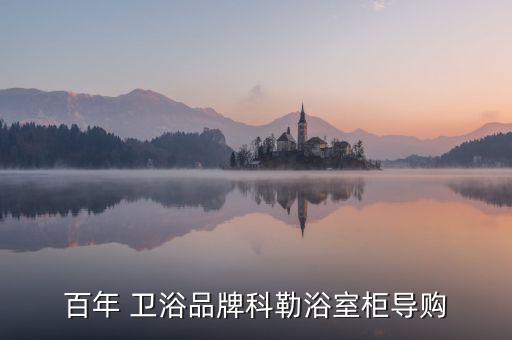 百年 衛(wèi)浴品牌科勒浴室柜導購