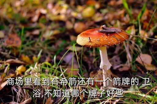 商場里看到有希箭還有一個箭牌的 衛(wèi)浴,不知道哪個牌子好些