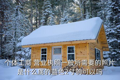 個體工商 營業(yè)執(zhí)照一般所需要的照片是什么底的藍色2寸的可以嗎