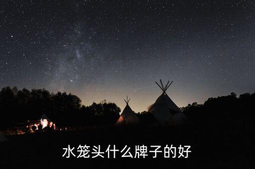 水籠頭什么牌子的好