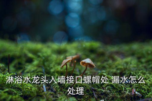淋浴水龍頭入墻接口螺帽處 漏水怎么處理