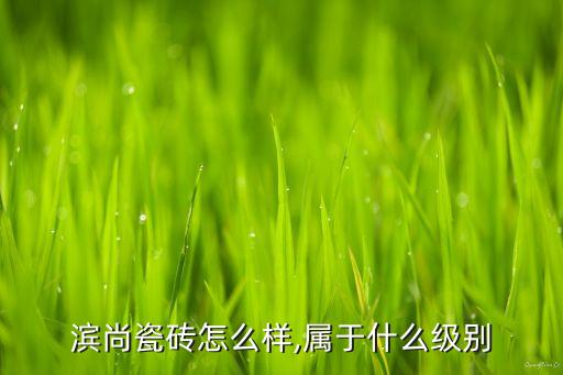 濱尚瓷磚怎么樣,屬于什么級別