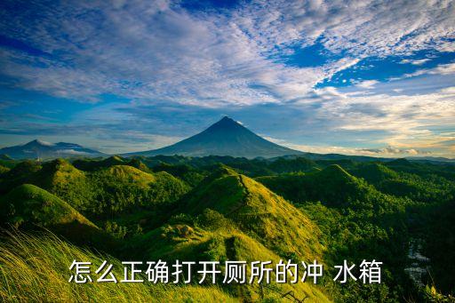 衛(wèi)浴水箱調(diào)試視頻大全圖片