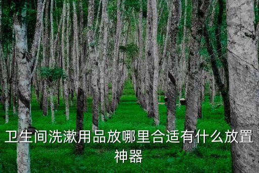 衛(wèi)浴吊柜儲(chǔ)物架圖片大全