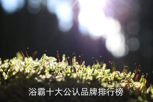 衛(wèi)浴電器指哪些產(chǎn)品呢圖片,衛(wèi)浴店圖片