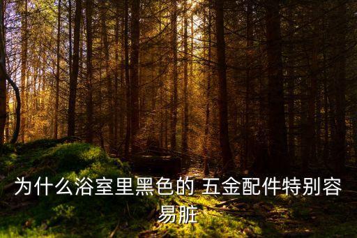 為什么浴室里黑色的 五金配件特別容易臟
