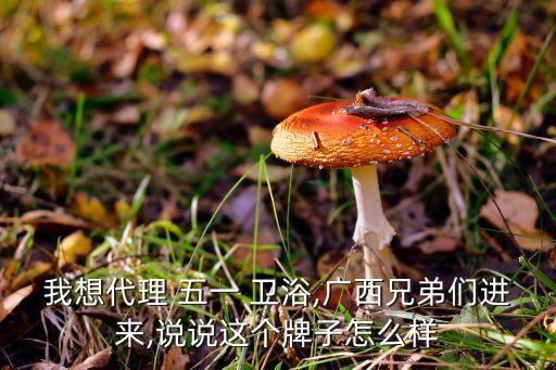 我想代理 五一 衛(wèi)浴,廣西兄弟們進來,說說這個牌子怎么樣