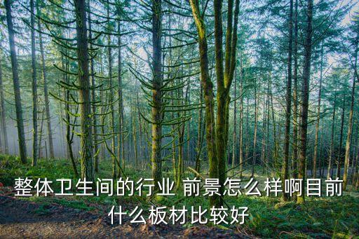 品牌衛(wèi)浴的前景如何樣呢,開衛(wèi)浴店前景如何