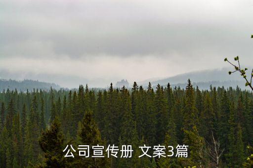 公司宣傳冊(cè) 文案3篇