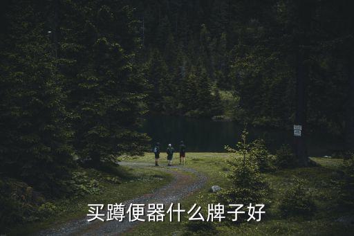 買蹲便器什么牌子好
