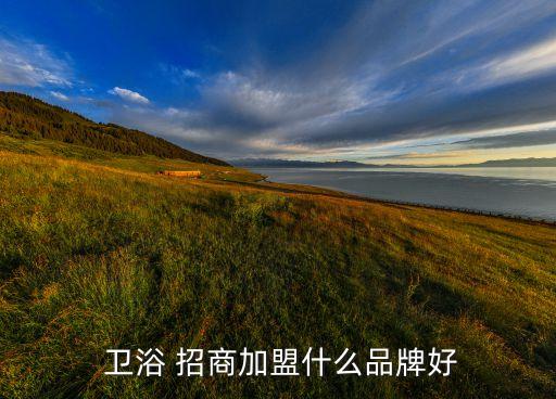  衛(wèi)浴 招商加盟什么品牌好