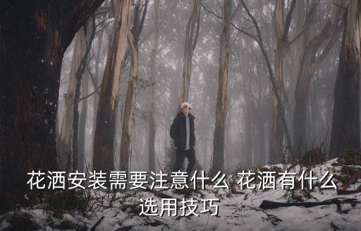  花灑安裝需要注意什么 花灑有什么選用技巧