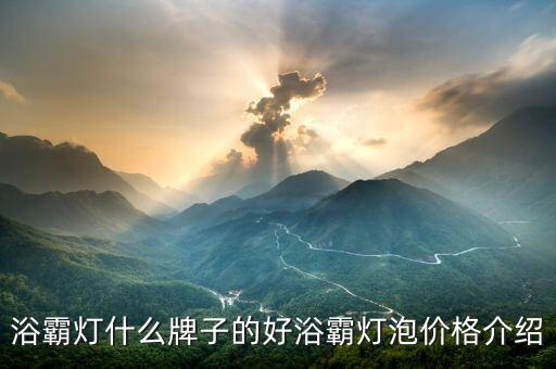浴霸燈什么牌子的好浴霸燈泡價格介紹