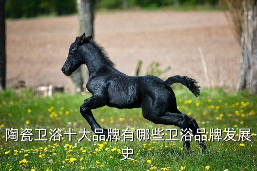 陶瓷衛(wèi)浴十大品牌有哪些衛(wèi)浴品牌發(fā)展史