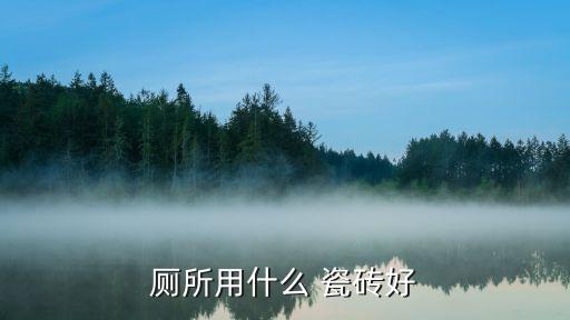 衛(wèi)浴品牌裝修瓷磚圖片,十大進(jìn)口瓷磚衛(wèi)浴品牌排行榜