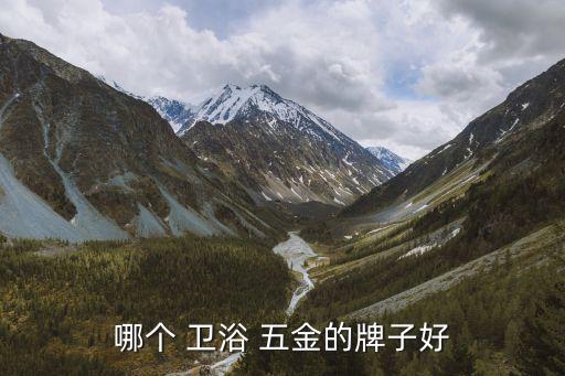 哪個 衛(wèi)浴 五金的牌子好