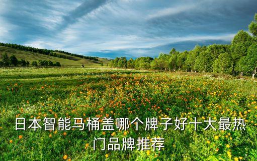  日本智能馬桶蓋哪個(gè)牌子好十大最熱門品牌推薦
