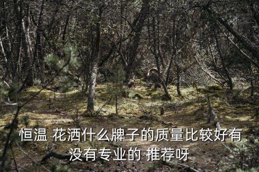 恒溫衛(wèi)浴花灑品牌推薦知乎,恒溫花灑都有哪些品牌推薦?