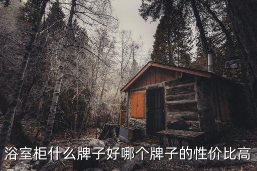 專屬定制衛(wèi)浴柜價(jià)格及圖片