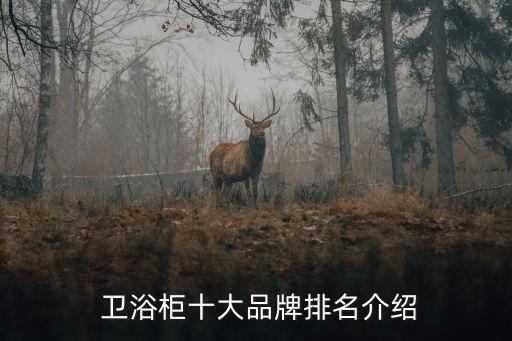  衛(wèi)浴柜十大品牌排名介紹