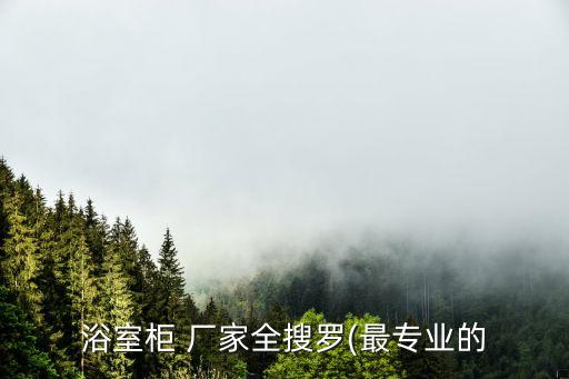 浴室柜 廠家全搜羅(最專業(yè)的