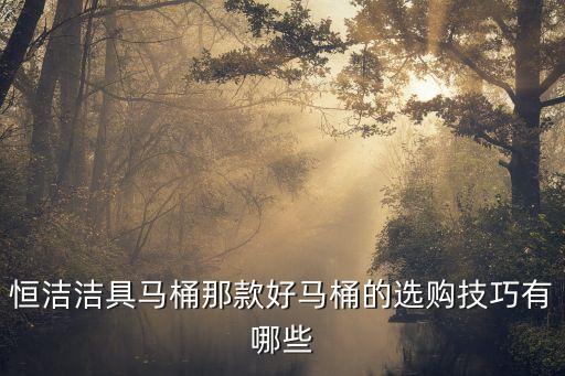 恒潔潔具馬桶那款好馬桶的選購技巧有哪些