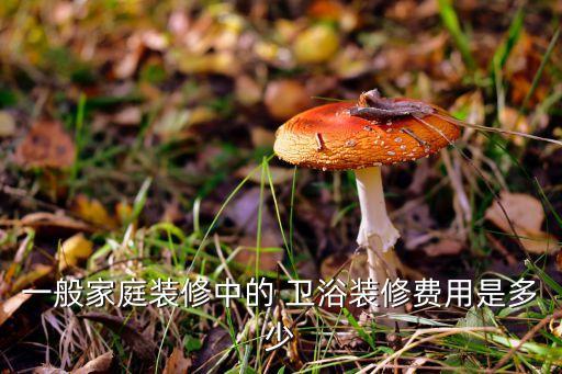 一般家庭裝修中的 衛(wèi)浴裝修費(fèi)用是多少