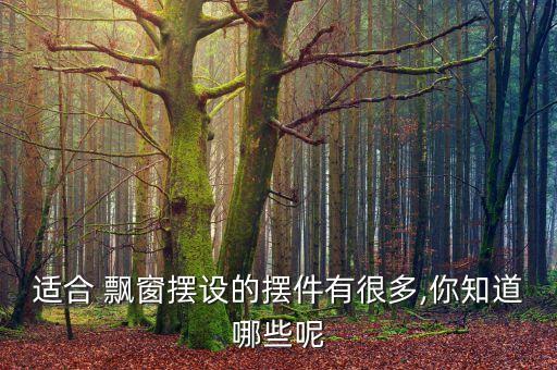 適合 飄窗擺設(shè)的擺件有很多,你知道哪些呢