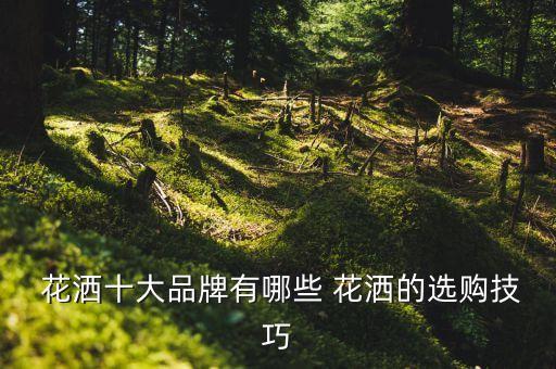  花灑十大品牌有哪些 花灑的選購(gòu)技巧