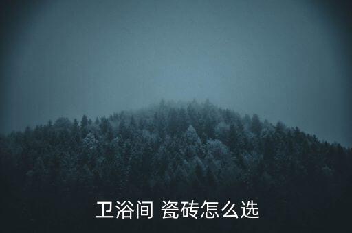  衛(wèi)浴間 瓷磚怎么選