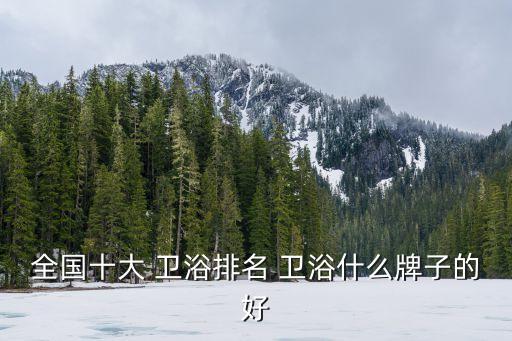 全國十大 衛(wèi)浴排名 衛(wèi)浴什么牌子的好