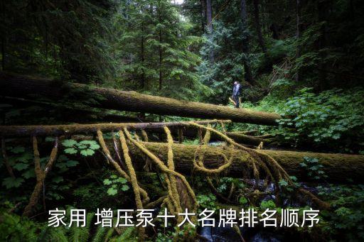  家用 增壓泵十大名牌排名順序