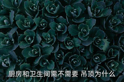 衛(wèi)浴間吊頂優(yōu)缺點圖片