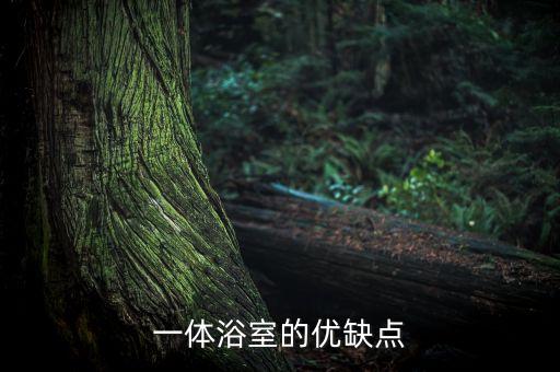 一體浴室的優(yōu)缺點(diǎn)