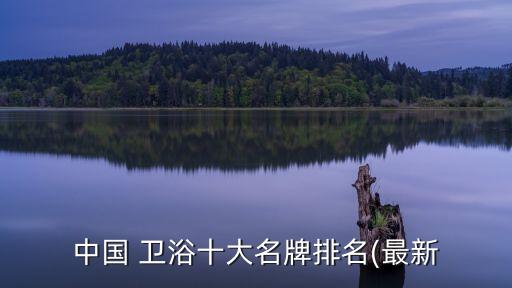 中國(guó) 衛(wèi)浴十大名牌排名(最新