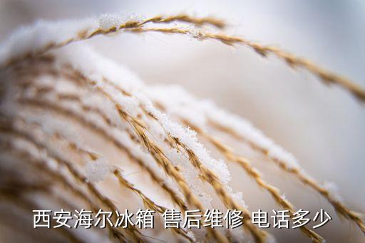 西安海爾冰箱 售后維修 電話多少