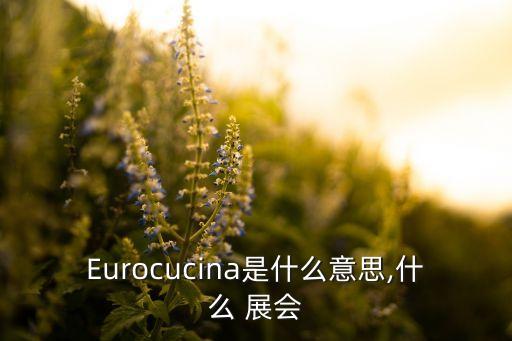 Eurocucina是什么意思,什么 展會(huì)