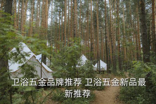衛(wèi)浴掛鉤打孔兩用圖片大全