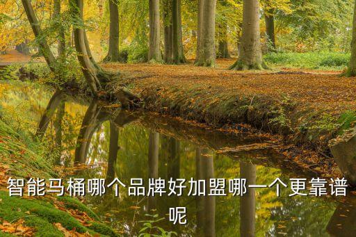 智能馬桶哪個(gè)品牌好加盟哪一個(gè)更靠譜呢