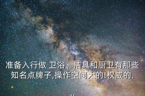 準備入行做 衛(wèi)浴、潔具和廚衛(wèi)有那些知名點牌子,操作空間大的!權威的...