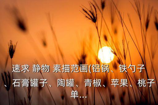 速求 靜物 素描范畫(鋁鍋、鐵勺子、石膏罐子、陶罐、青椒、蘋果、桃子單...