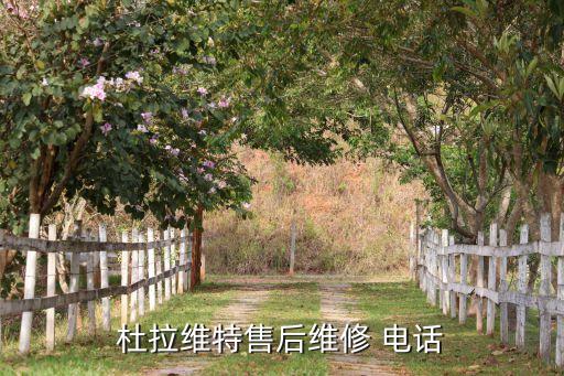 杜拉維特售后維修 電話