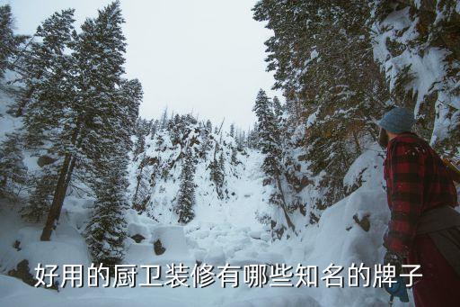 好用的廚衛(wèi)裝修有哪些知名的牌子