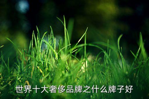 世界十大奢侈品牌之什么牌子好