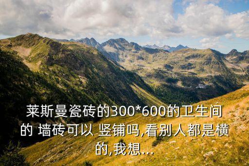 衛(wèi)浴墻磚豎鋪效果圖片大全