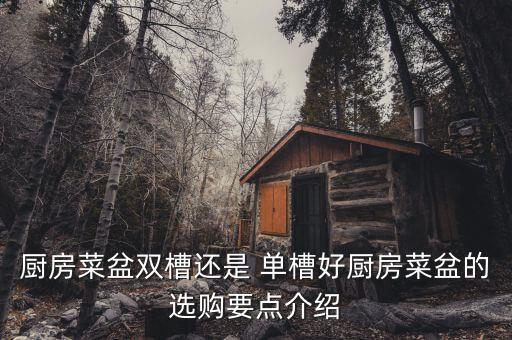 廚房菜盆雙槽還是 單槽好廚房菜盆的選購要點介紹
