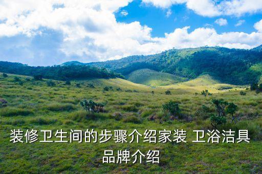 裝修衛(wèi)生間的步驟介紹家裝 衛(wèi)浴潔具品牌介紹