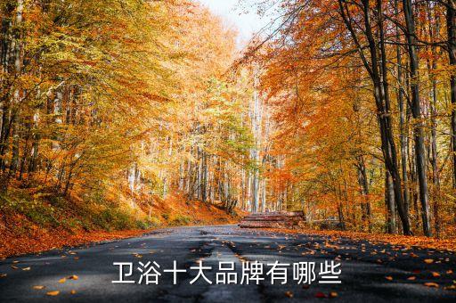 凱斯恩衛(wèi)浴是幾線品牌的