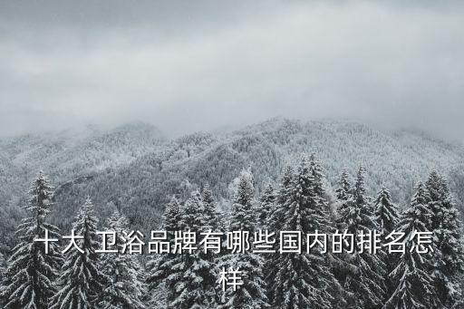  十大 衛(wèi)浴品牌有哪些國內(nèi)的排名怎樣