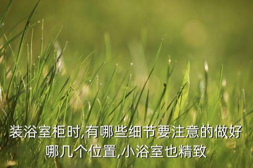 衛(wèi)浴柜內(nèi)嵌冰箱尺寸圖片,內(nèi)嵌雙開門冰箱預(yù)留尺寸